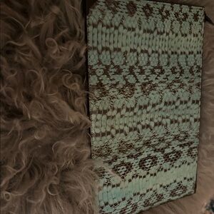 Alexander Wang Genuine Snakeskin Envelope Wallet in Mint